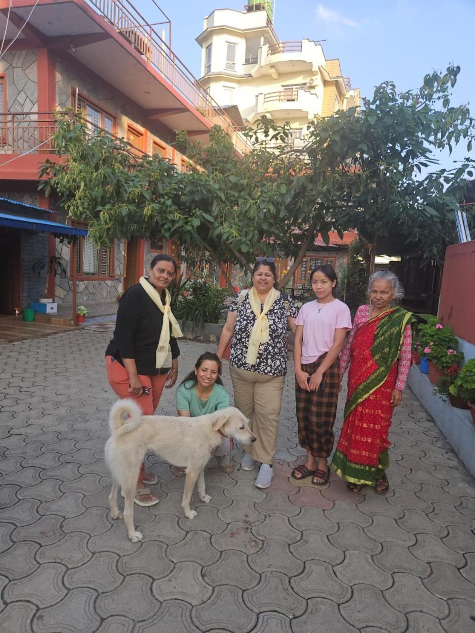 Pokhara Metro Eco Hotel المظهر الخارجي الصورة